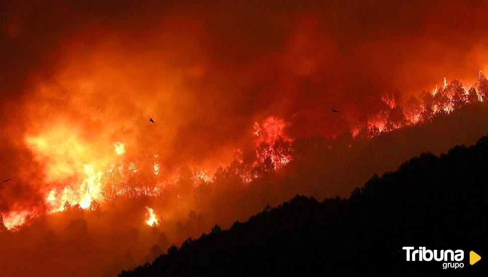 Así será el operativo contra incendios en Palencia