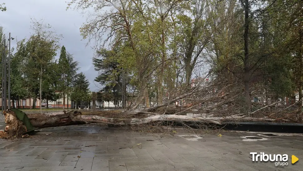 Cerrados los parques de Palencia por culpa de las rachas de viento