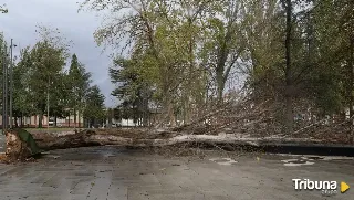 Cerrados los parques de Palencia por culpa de las rachas de viento