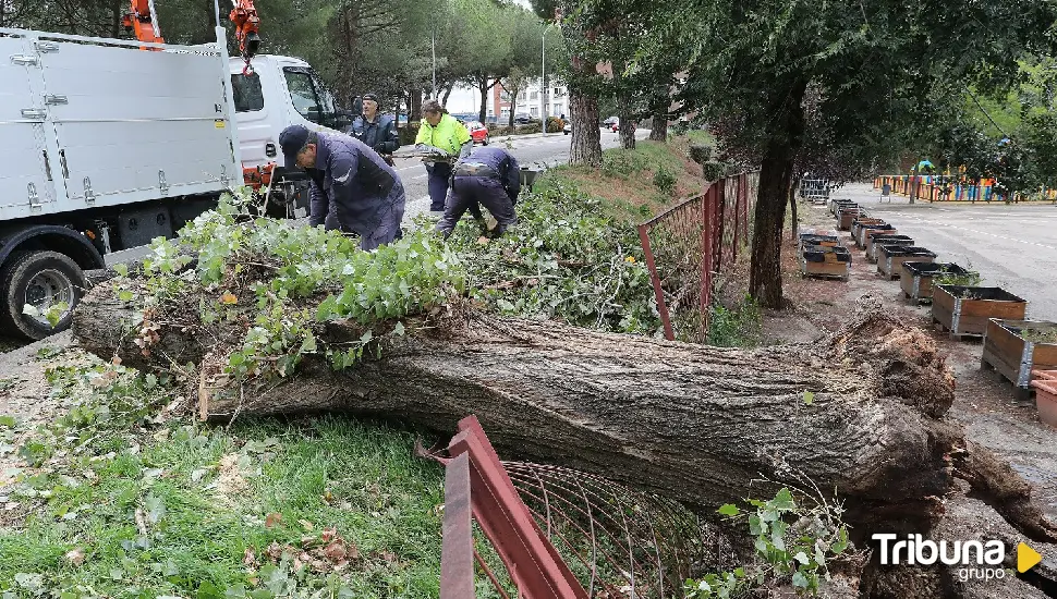 El viento obliga a una veintena de intervenciones en Palencia