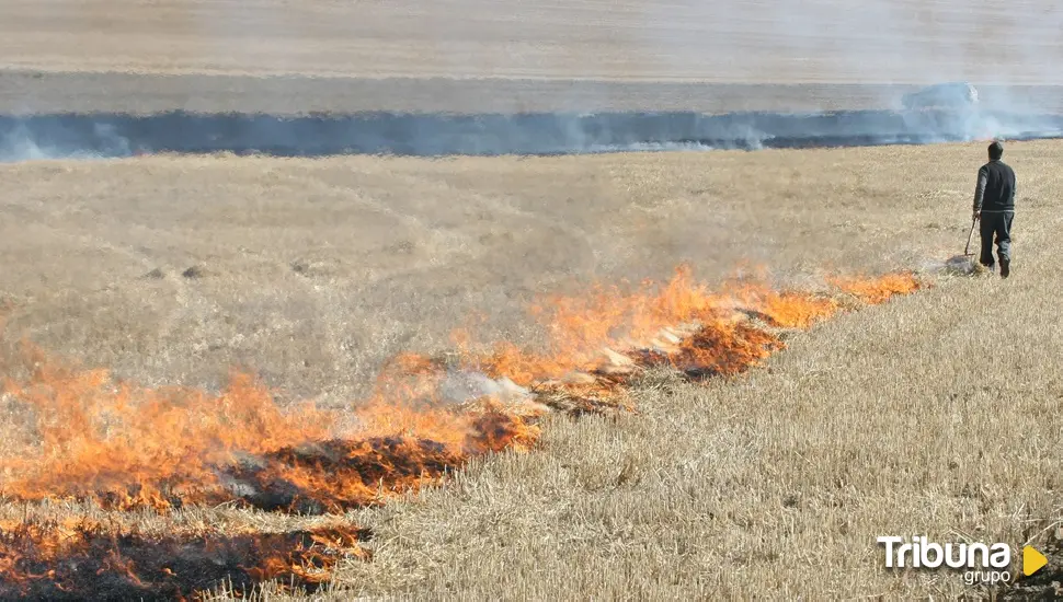 Denuncian el destrozo ambiental y patrimonial en un espacio natural protegido de Palencia