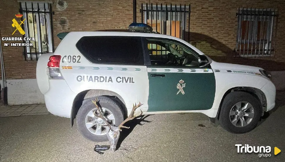 Encuentran una cabeza de venado en un maletero