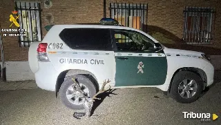 Encuentran una cabeza de venado en un maletero