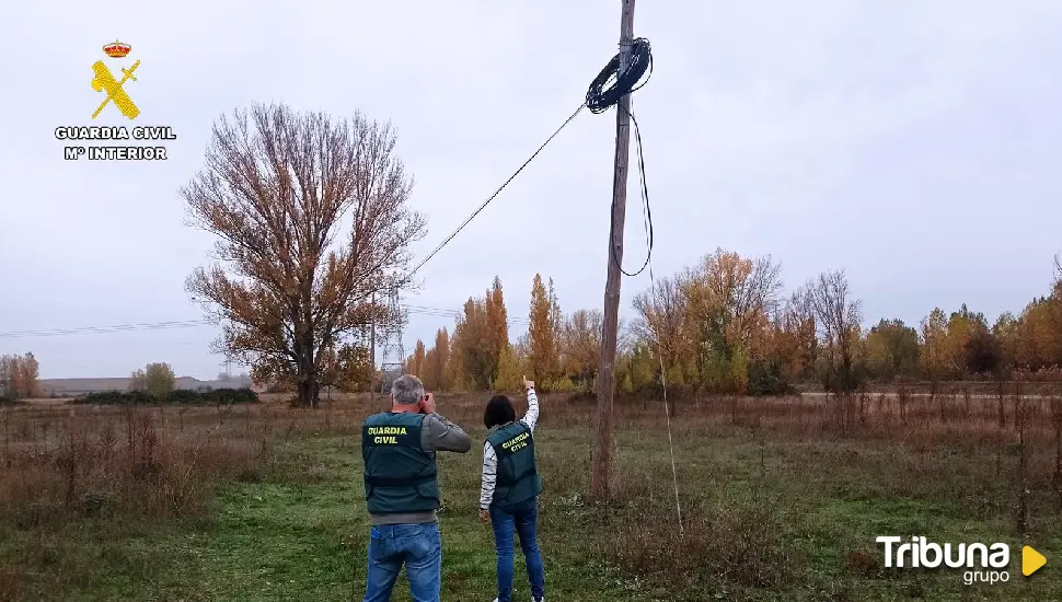 Detienen a siete personas por robar cable telefónico en Palencia y Burgos