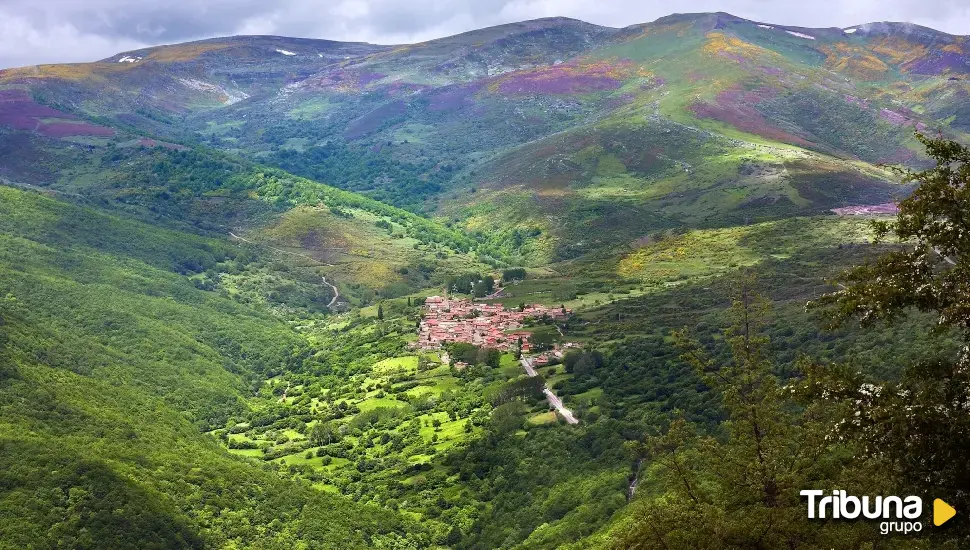 En busca de sostenibilidad en bosques y prados de Brañosera