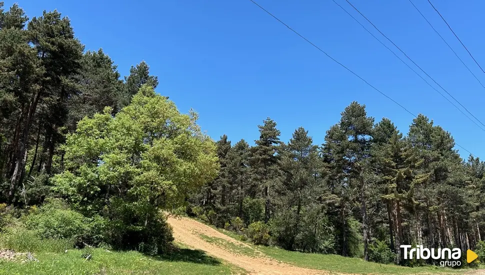 La Diputación adjudica los tres circuitos de Trail en la Montaña Palentina