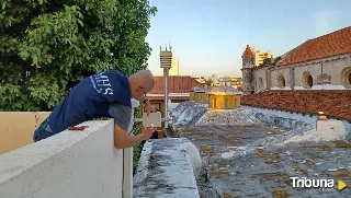 La Fundación Santa María la Real monitoriza la catedral de Cartagena de Indias