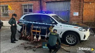 Sorprenden a cuatro cazadores con el cadáver de cierva en la Montaña Palentina